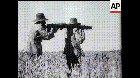 Lewis machine guns of the 7th Heavy Battery Royal Australian Artillery in action during the Great Emu War in 1932