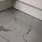 My aunt adopted a kitty a few days ago and she gave her half an heart attack when she disappeared for 2 hours. This is where she was hiding