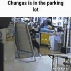 Me shopping with my mom