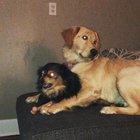 He never learned to share, she forgets why they’re fighting all the time..