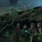 It better be ocean white fish tuna flavored caw caw.