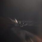 Renai - Circulations (Guitar Cover ), I’ve no idea if this counts btw