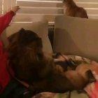 I'll do What i want!