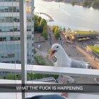 Government drones have detected an intruder.