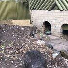 A rambunctious wombat named Timothy at a local animal sanctuary.