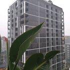 Took a video of a monsoon when I went to Brisbane.