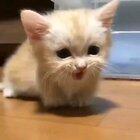 TeRrIfYiNg CaT tErRoRiZeS eVeRyOnE wItH hEr RoAr