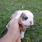 I could do this all day.