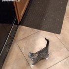 Before it could get louder