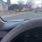 Cartel is turning into madness