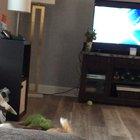 He does this every night after dinner.