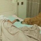 It's nice to know that he takes care of me