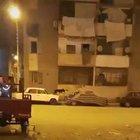 Stray dogs enjoying empty streets