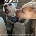 Karen being a bitch again