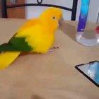 Wouldn't it be Nice if this video takes forever?