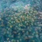 Incredible drone footage of a sticky note migration