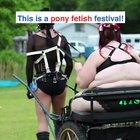 HMF while I pretend to be a pony