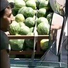 Cant resist watermelons