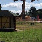 Greetings from Germany