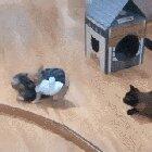 Catching your annoying sibling before they can run off