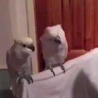 Когда услышал песню на казахском