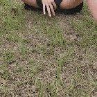 first time being a bit more naughty in the park ;) [gif]