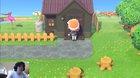 Every Animal Crossing: New Horizons player after 150+ hours of gameplay and finally getting that DIY