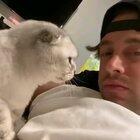 It was at this moment the cat realised, it fucked up.