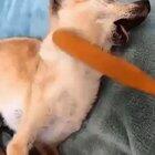 Nirvana has been reached