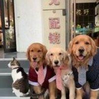 Cat's attitude taking family picture