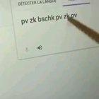 Vamo fritar família 😎