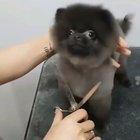 Me, playing New Leaf at 3AM