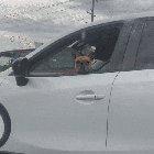 Gives me positive vibes.