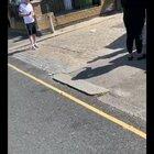 Instagram Comedian Comes Across A Family Feud