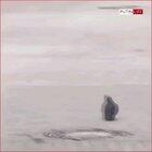 How can some people still think they are real?!