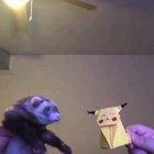 The energy on this is so pure