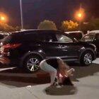 Light Heavyweight vs Lightweight. (With commentary)