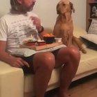 What? I’m not begging. Not even hungry