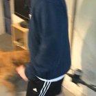 A mean raccoon is living in my basement (volume up)