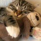 The way he hugs him tighter