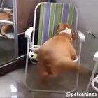 Ele conseguiu! peepoHappy