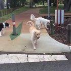 Teamwork makes the dream work!