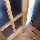 I’ve been watching this all day and it keeps getting better