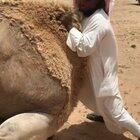 Lending a helping han... err push