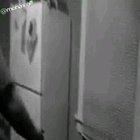 Slap Contest in AFRICA??!!!