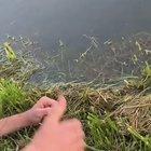 This fishing method.