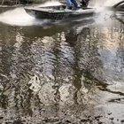 Hold my beer while I jump this tree