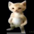 Pobre Pana Ft. Porta