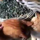 That second slap tho