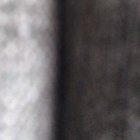 Still a bit stoned from her trip to the vet, i feel sorry but can’t stop laughing either